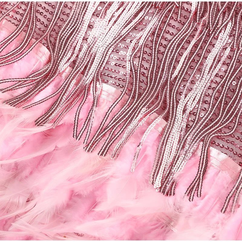 Bambi | Feather Trim Mini Dress