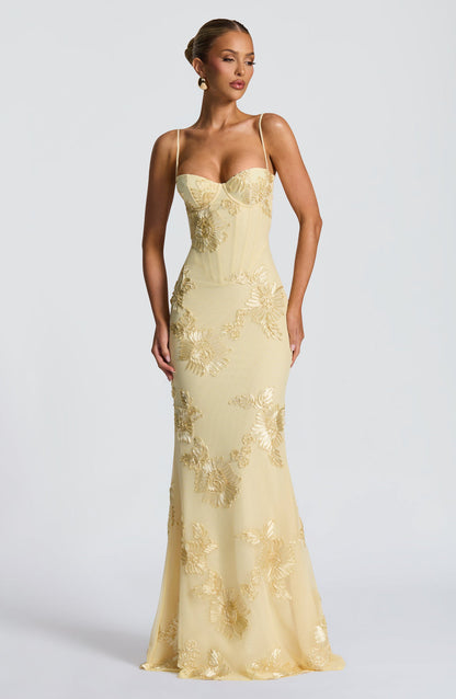 Corset maxi dress showing the structured bodice